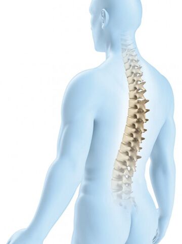 Die Verletzung der Thoraxregion ist aufgrund ihrer physiologischen Kraft weniger wahrscheinlich